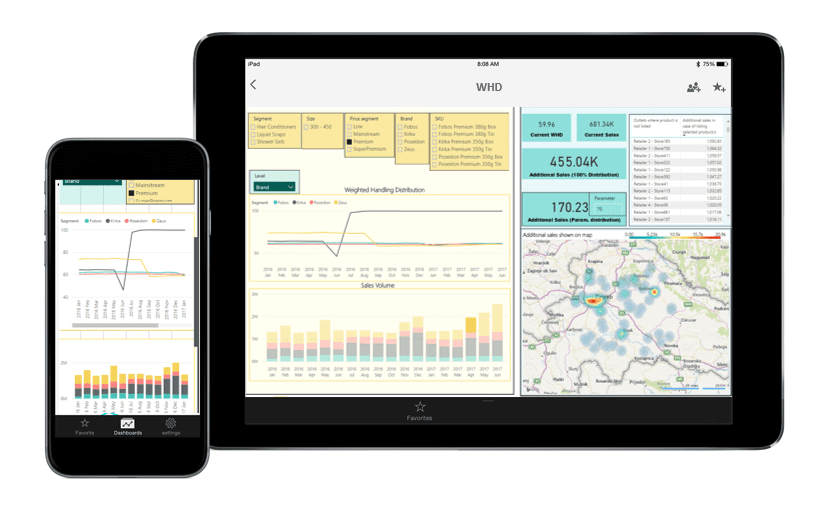 Power BI Mobile Application